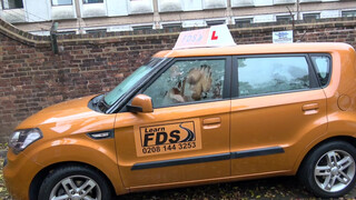 Fake Driving School cuki japán picsa kefélni akar