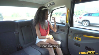 Fake Taxi - Tina Fire a méretes kannás barna spiné